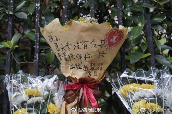 苏群分析篮协同意原因：杨瀚森新秀集训很关键 着眼世界杯与奥运